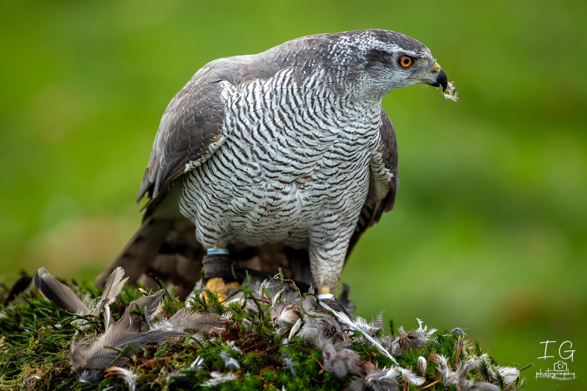 AK6I1451 31 oktober 2021 1458 43